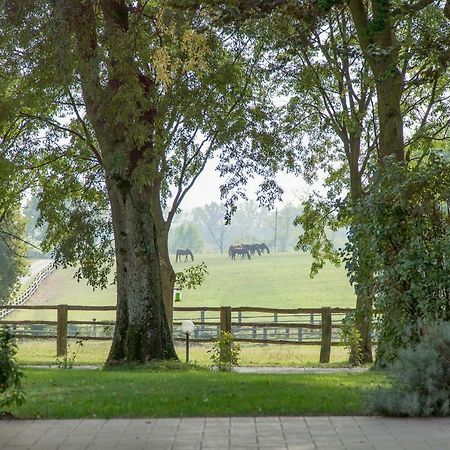 Tenuta Mariano Noceto Buitenkant foto