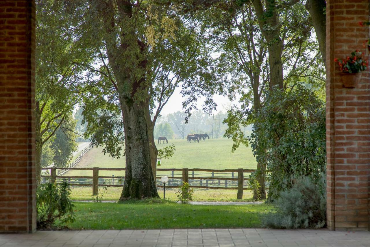 Tenuta Mariano Noceto Buitenkant foto